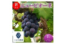 [№5615-0793]2026年 早期受付 ぶどう 訳あり ニューピオーネ 2kg以上(3～5房) 数量限定 岡山県 高梁市産