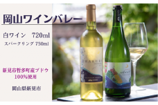 新見市哲多町産のぶどう100%を使った岡山ワインバレーの日本ワイン（白・スパークリング）2本セット