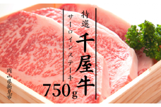 特選千屋牛サーロインステーキ 750g