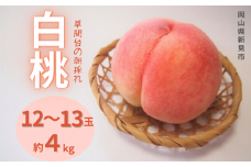 草間台の朝採れ白桃1箱 約4kg 12～13玉 【先行予約 2025年7月下旬から発送】