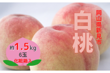 新見の白桃 約1.5kg 6玉 【先行予約 2024年7月下旬から順次発送】