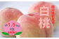果物王国！岡山県新見市のジューシーな桃をお届けします。