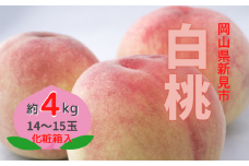 新見の白桃 約4kg 14～15玉 贈答にも【先行予約 2024年7月下旬から順次発送】