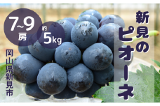 ピオーネ 岡山 約5kg 7～9房 新見【 先行予約 2025年9月中旬～10月上旬発送】