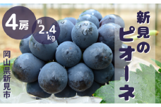 ピオーネ 岡山 約2.4kg 4房  新見【 先行予約 2025年9月中旬～10月上旬発送】