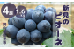 種がなくて食べやすいニューピオーネをお届けします。