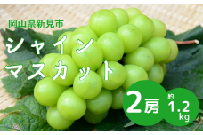 シャインマスカット 岡山 約1.2kg 2房 新見【先行予約 2025年10月発送】