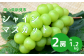 種なし皮ごと食べられる。みずみずしいシャインマスカットをお届けします。