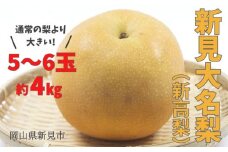 新見大名梨(新高梨) 約4kg 5～6玉 【先行予約 2025年10月中旬から順次発送】