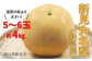 季節の味覚をお楽しみください。