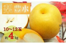 にいみの梨(豊水) 約4kg 10～12玉 【先行予約 2025年9月上旬から順次発送】