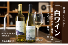 岡山ワインバレー 白ワイン 2本セット 荒戸山ワイナリー醸造750ml・三次ワイナリー醸造720ml