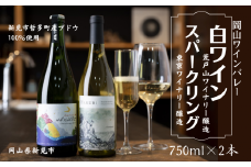 岡山ワインバレー 白ワイン・スパークリング 2本セット 荒戸山ワイナリー醸造 東京ワイナリー醸造 750ml