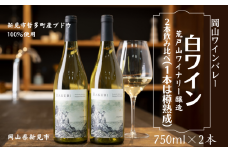 岡山ワインバレー 白ワイン 2本飲み比べセット 荒戸山ワイナリー醸造 750ml