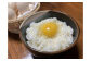 卵かけご飯もオススメです