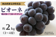 大原観光果樹園 ピオーネ 約2kg 3～4房 【先行予約 2025年9月上旬から順次発送】