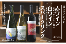 岡山ワインバレー 赤ワイン・白ワイン・スパークリング 3本セット 各750ml