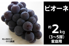 中川農園 ピオーネ 約2kg 3～5房 ご家庭用【先行予約 2025年9月中旬から順次発送】