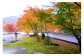 新緑や紅葉を楽しめる庭園もあります。