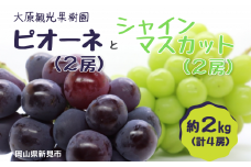 大原観光果樹園 ピオーネ2房とシャインマスカット2房（計4房） 約2kg 【先行予約 2025年9月中旬から順次発送】