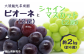 ピオーネとシャインマスカットのセット　約2kg（各2房）をお届けします。