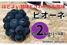 山田ぶどう園 ピオーネ 約2kg 3～4房 【先行予約 2025年9月上旬から順次発送】