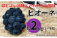 山田ぶどう園 ピオーネ 約2kg（3～4房）をお届けします。