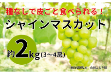 山田ぶどう園 シャインマスカット 約2kg 3～4房 【先行予約 2025年9月下旬から順次発送】