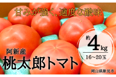 阿新産桃太郎トマト 1箱 約4kg 16～20玉 【2025年7～9月限定】