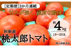 【定期便3か月】阿新産桃太郎トマト 1箱 約4kg 16～20玉 3か月連続お届け 【2025年7～9月限定】