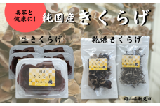 純国産きくらげ 生きくらげ70g×5パック 乾燥ホール1袋 乾燥スライス1袋