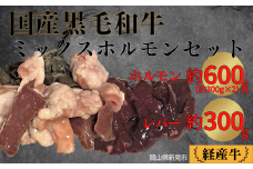 国産 黒毛和牛 いろり牛 経産牛 牛肉ミックスホルモンセット(ホルモン約600g＋レバー約300g)