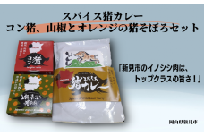 岡山県新見市産 イノシシ肉使用 スパイス猪カレー(レトルト)・コン猪(コンビーフ風缶詰)・山椒とオレンジの猪そぼろ セット 猪肉 ジビエ