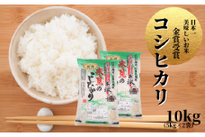 【令和7年産】里山新見のめぐみ コシヒカリ 10kg(5kg×2袋)【2025年9月より発送】