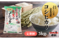 定期便で3ヶ月連続。農家が自信をもってお届けします！