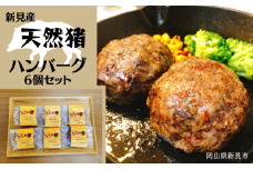 新見産 天然猪 ハンバーグ 6個 セット 猪肉 ジビエ