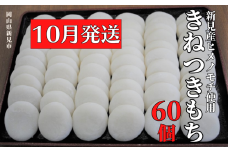 【2025年10月発送】きねつきもち 60個(6個入×10パック)