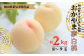 おかやま夢白桃（約2kg 8～9玉）をお送りします