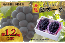 もりおか農園のよろこびぶどう 厳選ピオーネ 約1.2kg 2房 【先行予約 2025年9月上旬から順次発送】