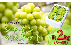 もりおか農園のよろこびぶどう シャインマスカット 約2kg 3～4房 【先行予約 2025年10月上旬から順次発送】