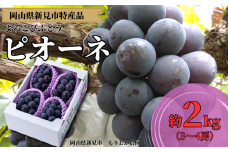 もりおか農園のよろこびぶどう ピオーネ 約2kg 3～4房 【先行予約 2025年9月上旬から順次発送】