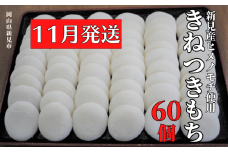 【2025年11月発送】きねつきもち 60個(6個入×10パック) 新見産ヒメノモチ使用