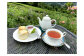 透き通るような紅茶とやさしい風味を楽しめます。