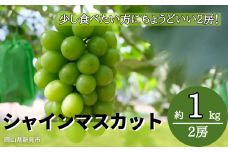 林農園 シャインマスカット 約1kg 2房 【先行予約 2025年10月上旬から順次発送】