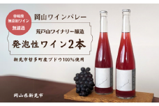 岡山ワインバレー 荒戸山ワイナリー醸造 ワイン2本（発泡性ワイン）