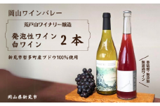 岡山ワインバレー 荒戸山ワイナリー醸造 ワイン2本（発泡性ワイン・白ワイン） 
