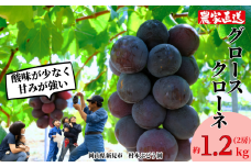 村本ぶどう園 グロースクローネ 約1.2kg 2房 【先行予約 2025年9月中に順次発送】