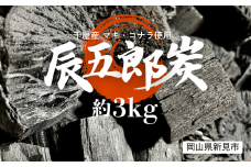 火持ちの良い 木炭 辰五郎炭 BBQ用（約3kg） 