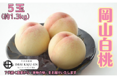 白桃 5玉 約1.3kg 岡山県産 【先行予約 2025年7月上旬から順次発送】