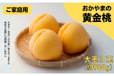 家庭用 黄金桃 3玉 大玉 約900g 岡山県産【先行予約 2025年8月下旬から順次発送】